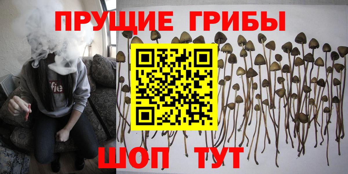 Псилоцибиновые грибы Magic Shrooms Нижнекамск